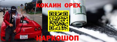 гашик Дубна