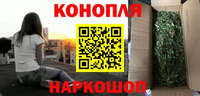 гашик Дубна
