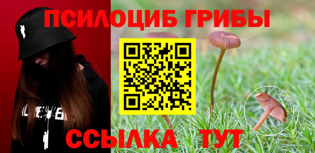 Псилоцибиновые грибы прущие грибы  Вход с VPN  Мурино 