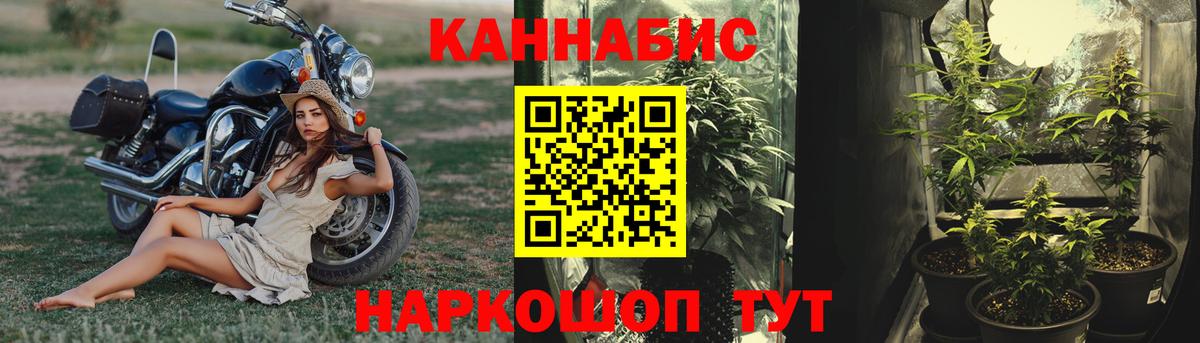 Бошки Шишки THC 21%  Вход с VPN  Конопля THC 21%  Мурино  МАРИХУАНА MAZAR  Бошки Шишки ГИДРОПОН 